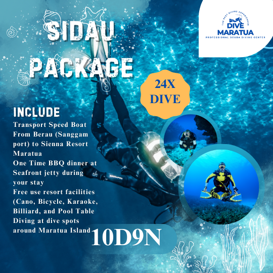 Dive Maratua Activities Image
