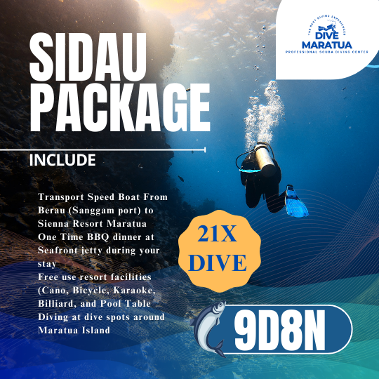 Dive Maratua Activities Image