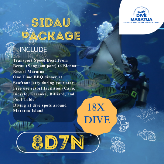 Dive Maratua Activities Image