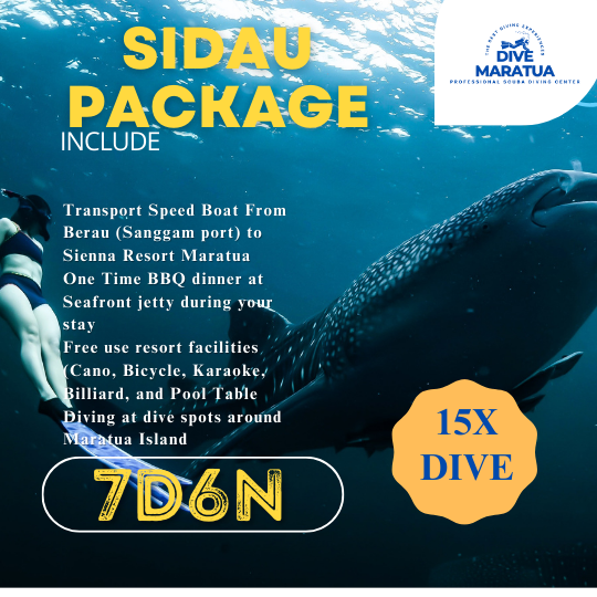 Dive Maratua Activities Image