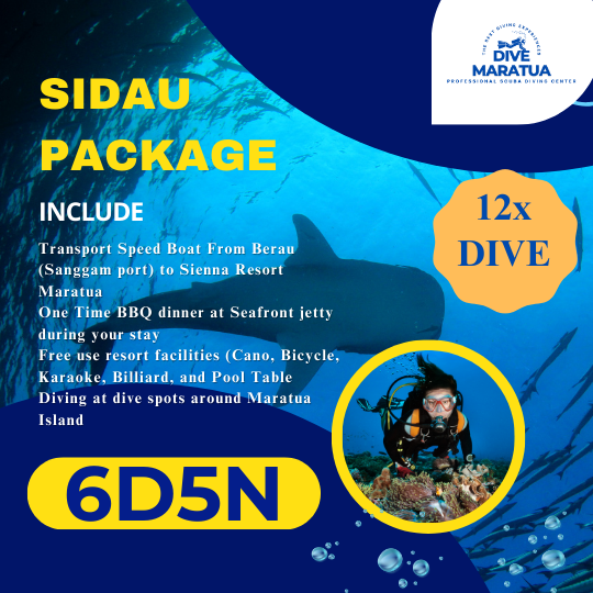 Dive Maratua Activities Image
