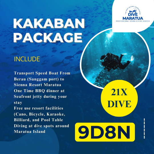 Dive Maratua Activities Image