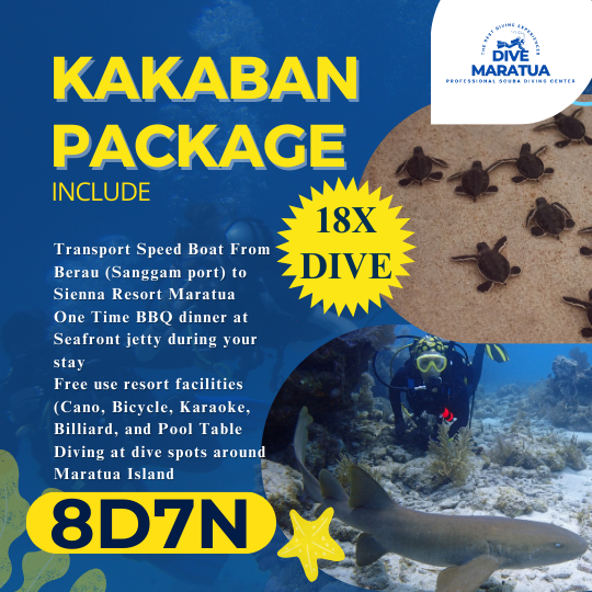Dive Maratua Activities Image