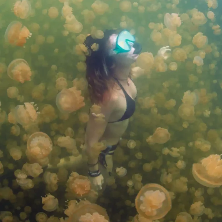 Dive Maratua Home Image
