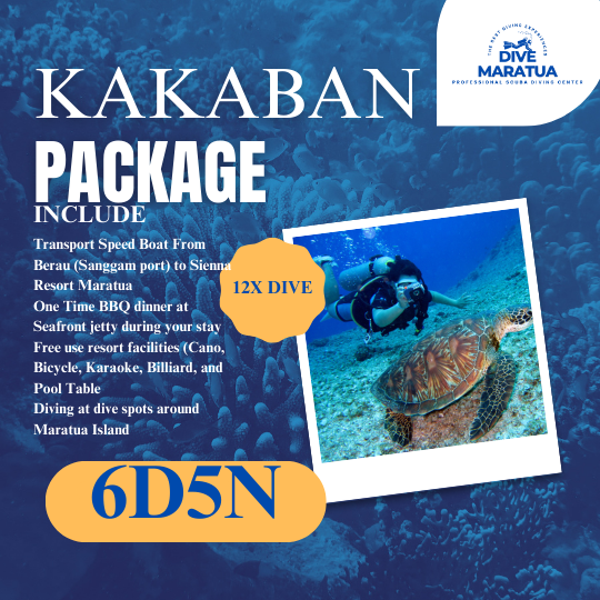 Dive Maratua Activities Image